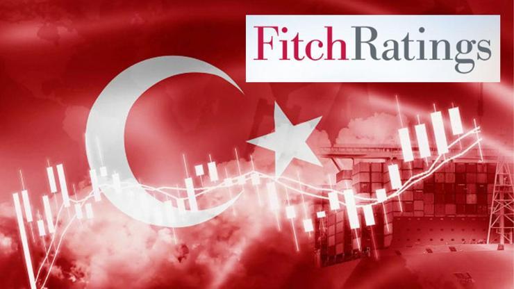 İngiliz ekonomistten Fitch yorumu: Türkiye hak etti