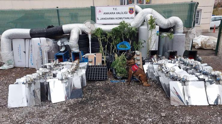 Ankara'da uyuşturucu ticaretine 1 tutuklama