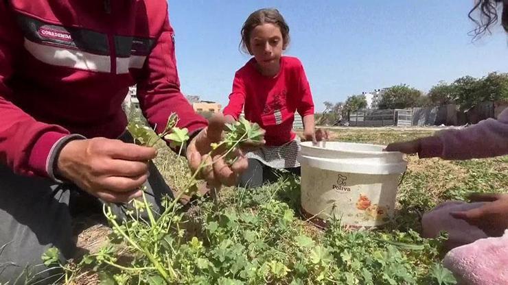 Gazzeliler çocukları için yemek arıyor