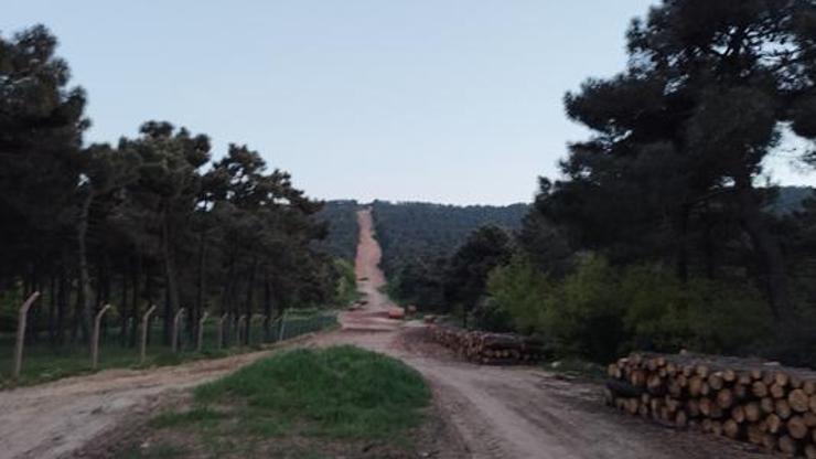 Aydos ormanında çıkan yangın söndürüldü