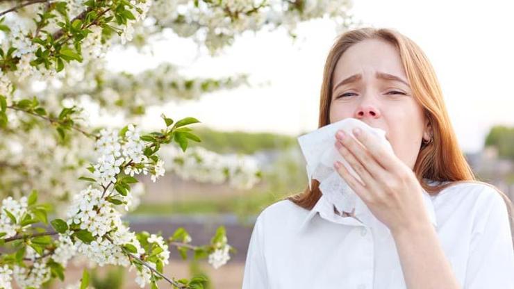 Bahar alerjisine karşı bu uyarılara dikkat: Hangi bitkiler tetikliyor Semptomları hafifletmek için...