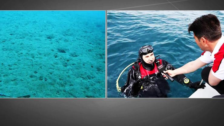 CNN TÜRK görüntüledi: Kirlilik ve deniz salyası Ege Denizine ulaştı mı