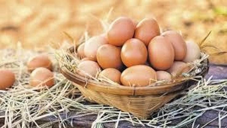 Haşlanmış Yumurta Besin Değeri: Haşlanmış Yumurta Kaç Kalori