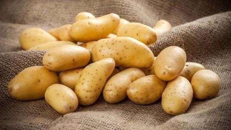 Haşlanmış Patates Besin Değeri: Haşlanmış Patates Kaç Kalori