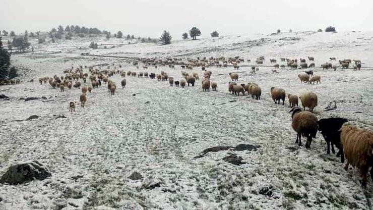 Tokat'ta mayıs ayında kar yağdı Tokat'ta mayıs ayında kar yağdı