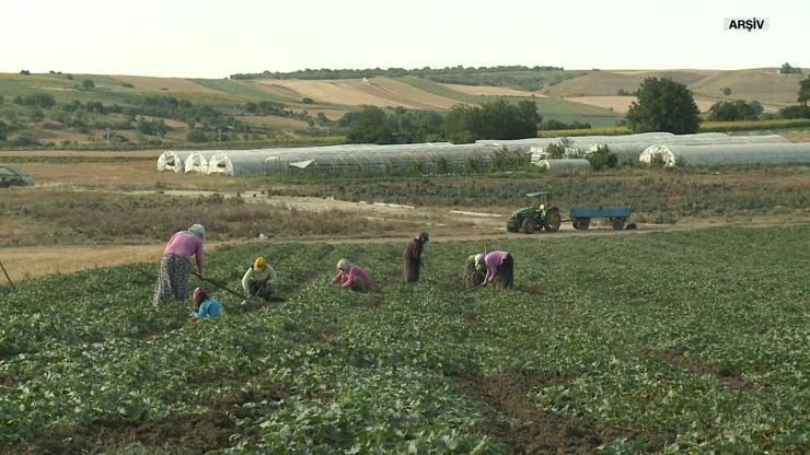 Hükümetten çiftçiye destek programı