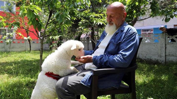 Kuzuyu sahiplendi, baba-oğul gibi oldu