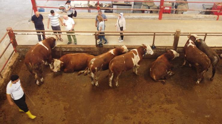 Kurban Bayramı’na sayılı günler kaldı Kıran kırana pazarlık…