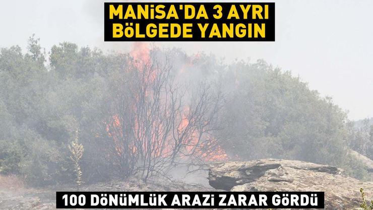 Manisada 3 ayrı bölgede yangın 100 dönümlük arazi zarar gördü