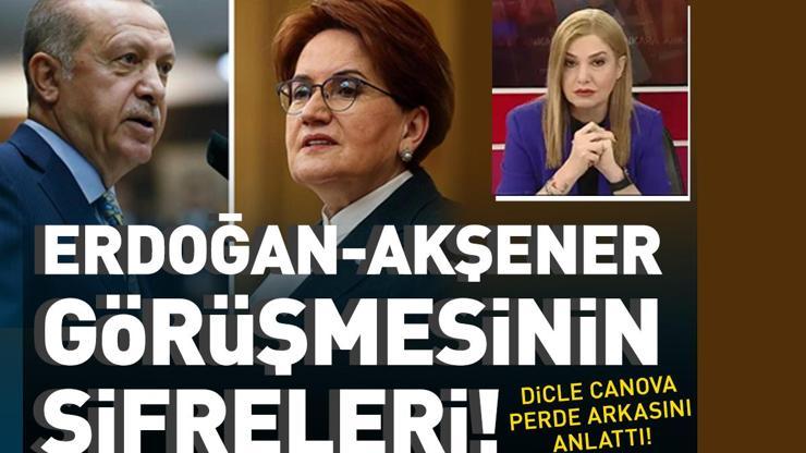 SON DAKİKA: Erdoğan-Akşener görüşmesinin şifreleri Dicle Canova aktardı