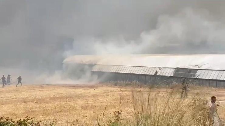 Antalyada iki ayrı noktada orman yangını