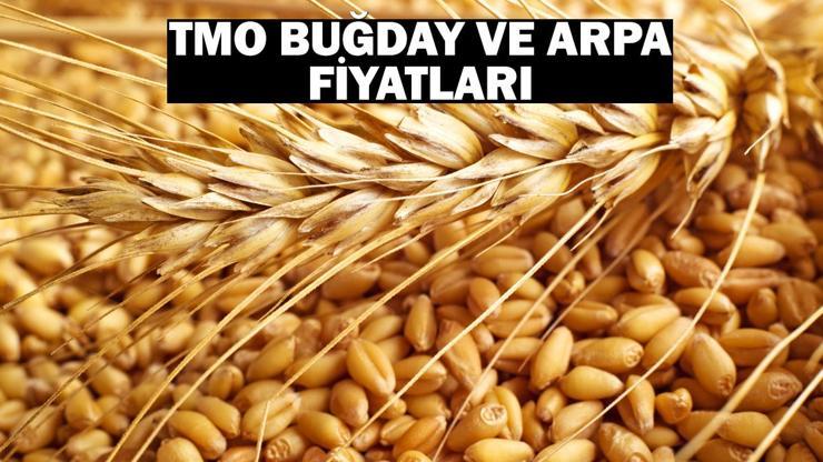 Buğday taban fiyatları 2024 ne kadar oldu Toprak Mahsulleri Ofisi (TMO) buğday ve arpa alım fiyatları