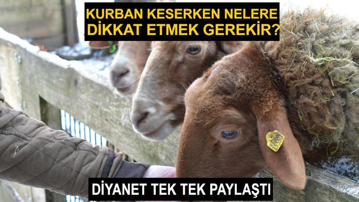 Kurban keserken nelere dikkat etmek gerekir Kurban nasıl kesilir