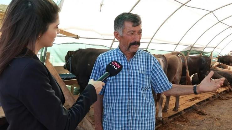 Bayram öncesi kurban pazarlığı