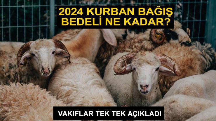 LÖSEV, Mehmetçik Vakfı, Kızılay, İHH ve Diyanet 2024 kurban bağış bedeli ne kadar, kaç TL