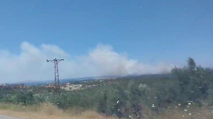 Çanakkale’de yine orman yangını: Kontrol altına alındı