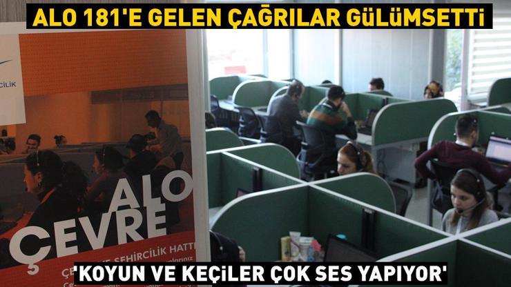 ALO 181e gelen çağrılar gülümsetti Koyun ve keçiler çok ses yapıyor