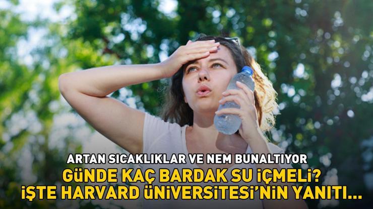 Artan sıcaklıklar ve nem bunaltıyor Günde kaç bardak su içmeli İşte Harvard Üniversitesinin yanıtı...