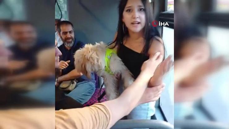 Köpekle otobüse bindi, tepki gösteren yolcularla tartıştı