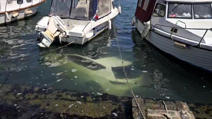 İstanbulda otomobil denize düştü: Park etmeye çalışırken kontrolü kaybetti