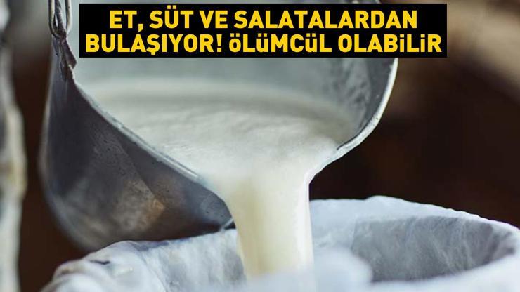 Et, süt ve salatalardan bulaşıyor Aman dikkat Ölümcül zehirlenmelere neden olabilir