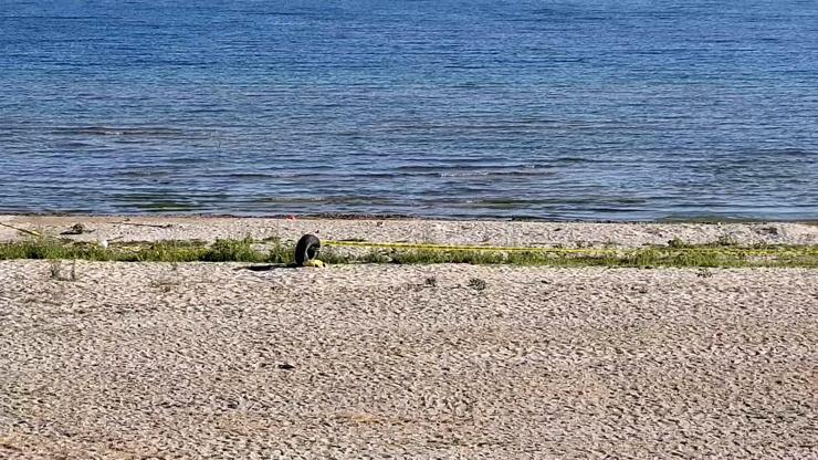 Aynı noktada 4üncü kez bulundu Son bir ayda 14 adet el bombası