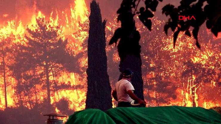 Orman yangınıyla mücadele nasıl olmalı