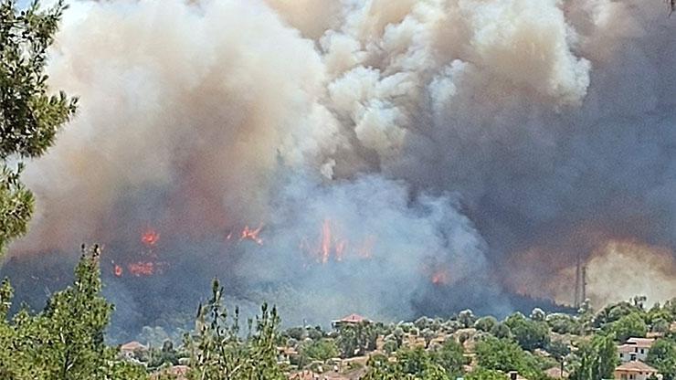 İzmirde orman yangını: Uçaklar ve helikopterler bölgede