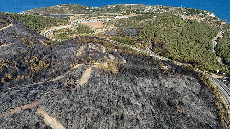 İzmirdeki orman yangınına ilişkin 1 zanlı tutuklandı