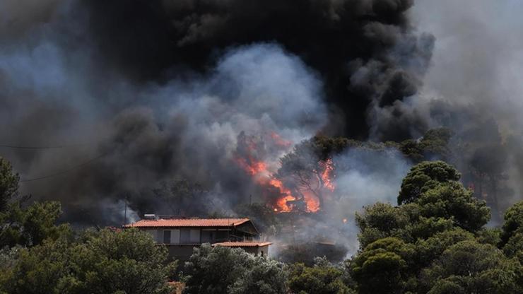 Yunanistanda son 24 saatte 52 orman yangını: 44ü kontrol altına alındı