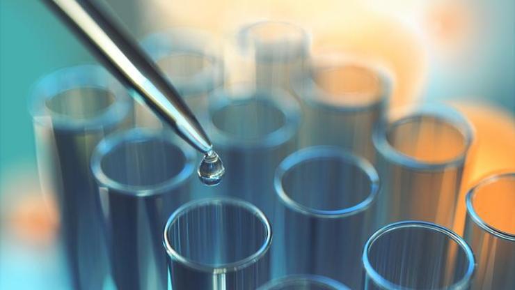 Nükleotit Nedir, Ne İşe Yarar Nükleotitler: Genetik Bilginin Temeli Ve Dnanın Yapısı