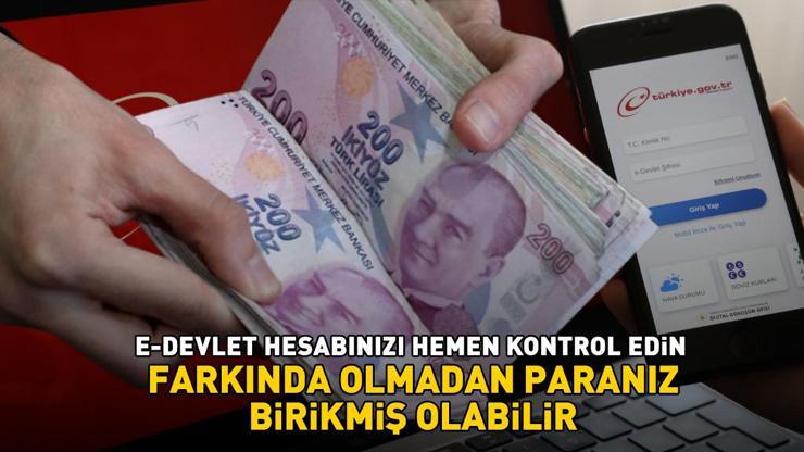 Dikkat birçok kişi bilmiyor E-devlet hesabınızda binlerce lira birikmiş olabilir Hemen kontrol edin