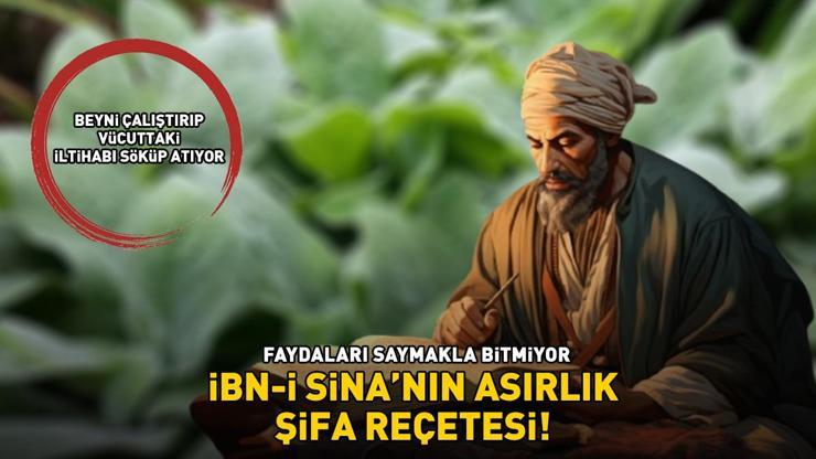 İbn-i Sinanın asırlık şifa reçetesi Faydaları saymakla bitmiyor: Beyni çalıştırıp vücuttaki iltihabı söküp atıyor