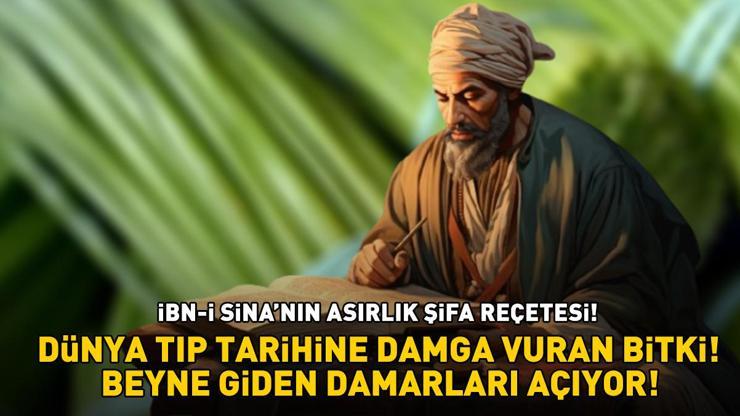 Dünya tıp tarihine damga vuran bitki İbn-i Sinanın asırlık şifa reçetesi Beyne giden damarları açıyor