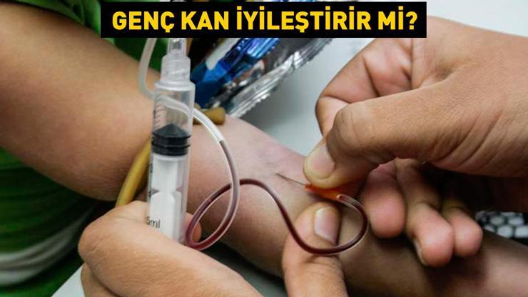 Genç kan gençleştirir mi Prof. Dr. Osman Müftüoğlu yazdı