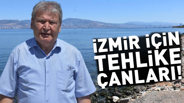 Bu şehirde 4.5 milyon kişi yaşıyor TÜBİTAK uyardı: Günden güne çöküyor Önlem alınmazsa su basacak