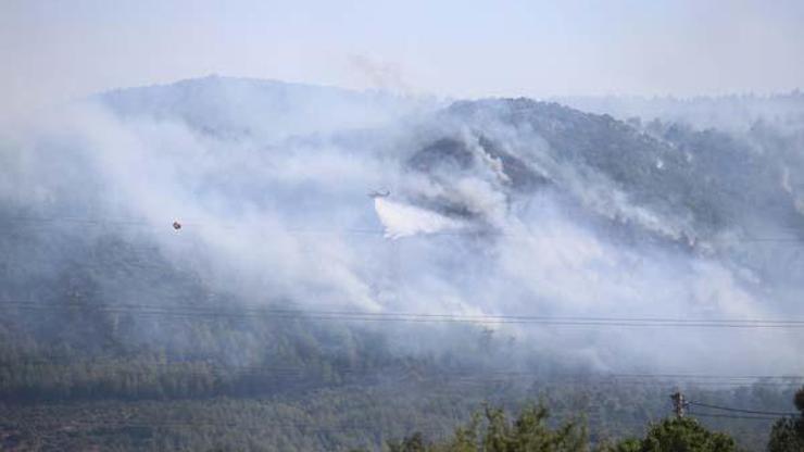 SON DAKİKA HABERİ: Bodrumda orman yangını