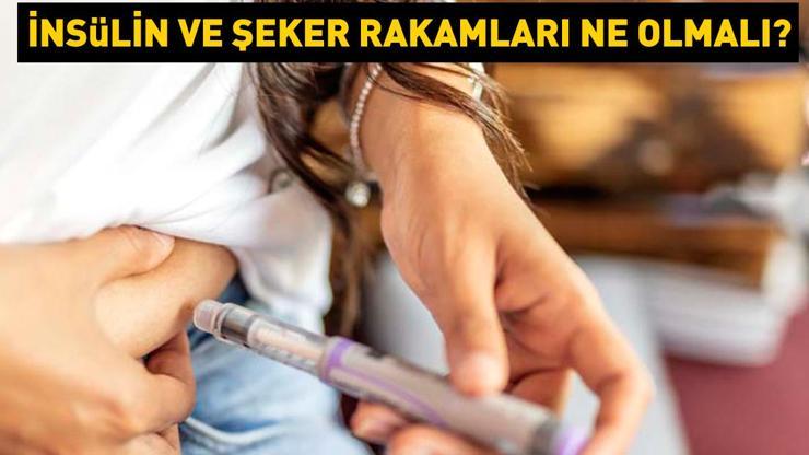 İnsülin ve şeker rakamları ne olmalı Prof. Dr. Osman Müftüoğlu açıkladı