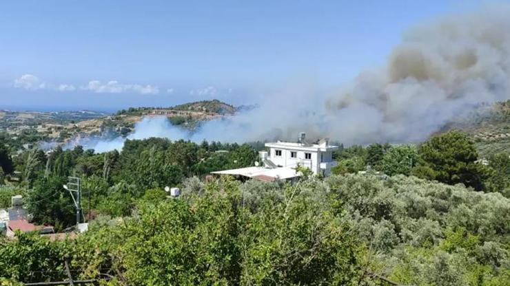 Hatay ve Balıkesirde orman yangını