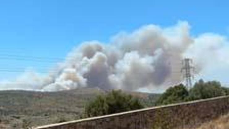 SON DAKİKA HABERİ: İzmir-Çeşmede orman yangını