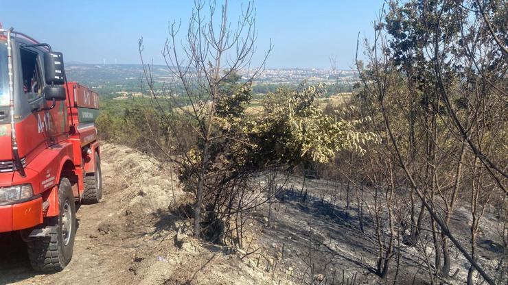 Çanakkale Ayvacıktaki orman yangını 2nci gününde