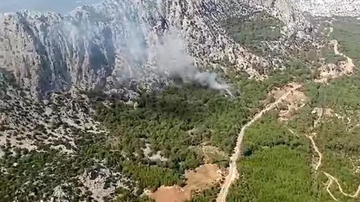 İzmir ve Antalyada orman yangını çıktı
