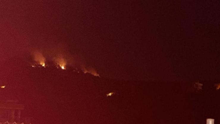 Ciğerlerimiz yandı Adanada orman yangını