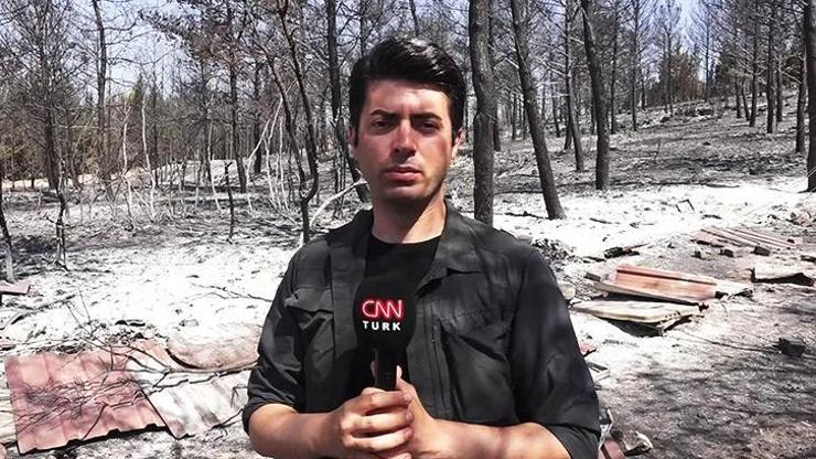 CNN TÜRK bölgede: Yemyeşil orman griye döndü