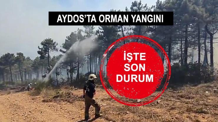 HABER… İstanbul Pendik Aydos Orman yangını son durum ne Müdahale sürüyor
