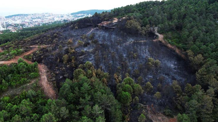 VİDEO HABER | 4 hektar alan yok oldu Son hali böyle görüntülendi...