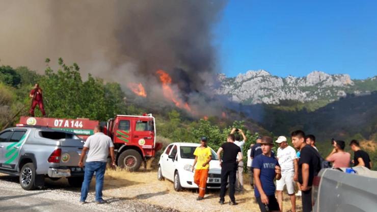 Son dakika haberi: Antalyada orman yangını