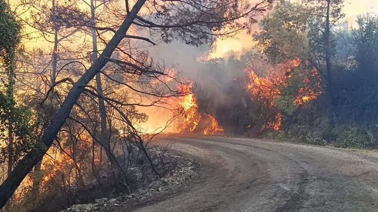 ADANA YANGIN || Kozandaki orman yangınına müdahale ediliyor