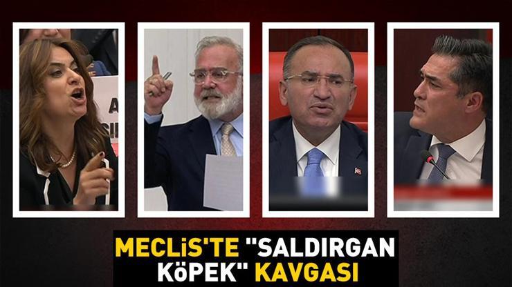 Video Haber | Mecliste saldırgan köpek kavgası