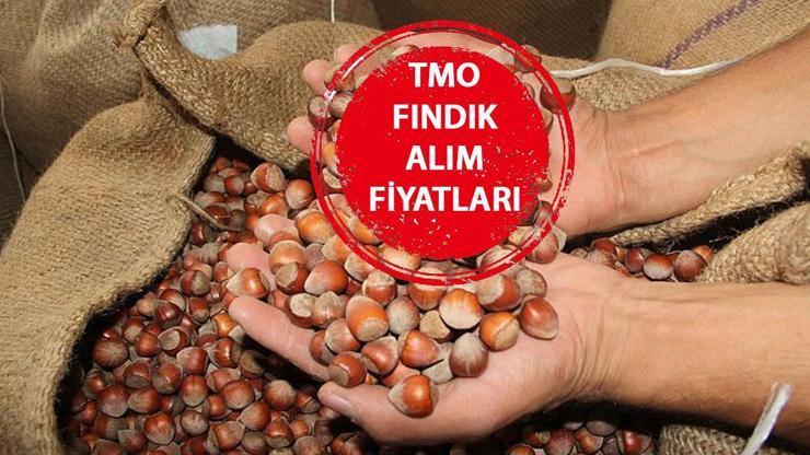 TMO FINDIK ALIM FİYATLARI | Ağustos 2024 son dakika güncel Levant ve Giresun kalite fındık alım fiyatları